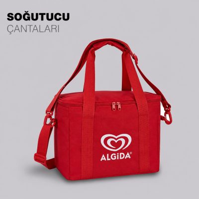 Soğutucu Çantası